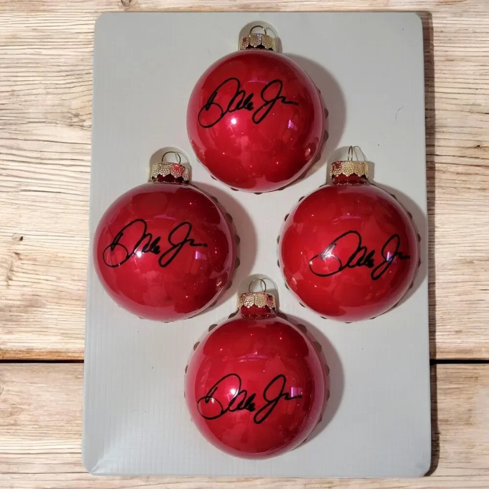 10 Vintage Nascar Christmas Tree Ornaments Dale Earnhardt Jr #8 Collection 2004
